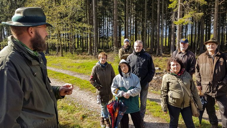 Klimawandel in Oberweseler Stadtwald sichtbar