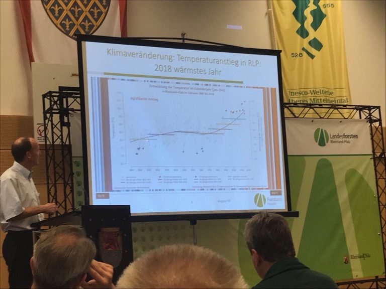 Ein weiter so wäre für den Wald das Ende. Gastbeitrag